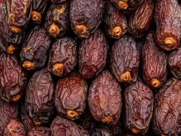 تصویر 2 از خرید خرما استعمران مرغوب + قیمت فروش استثنایی